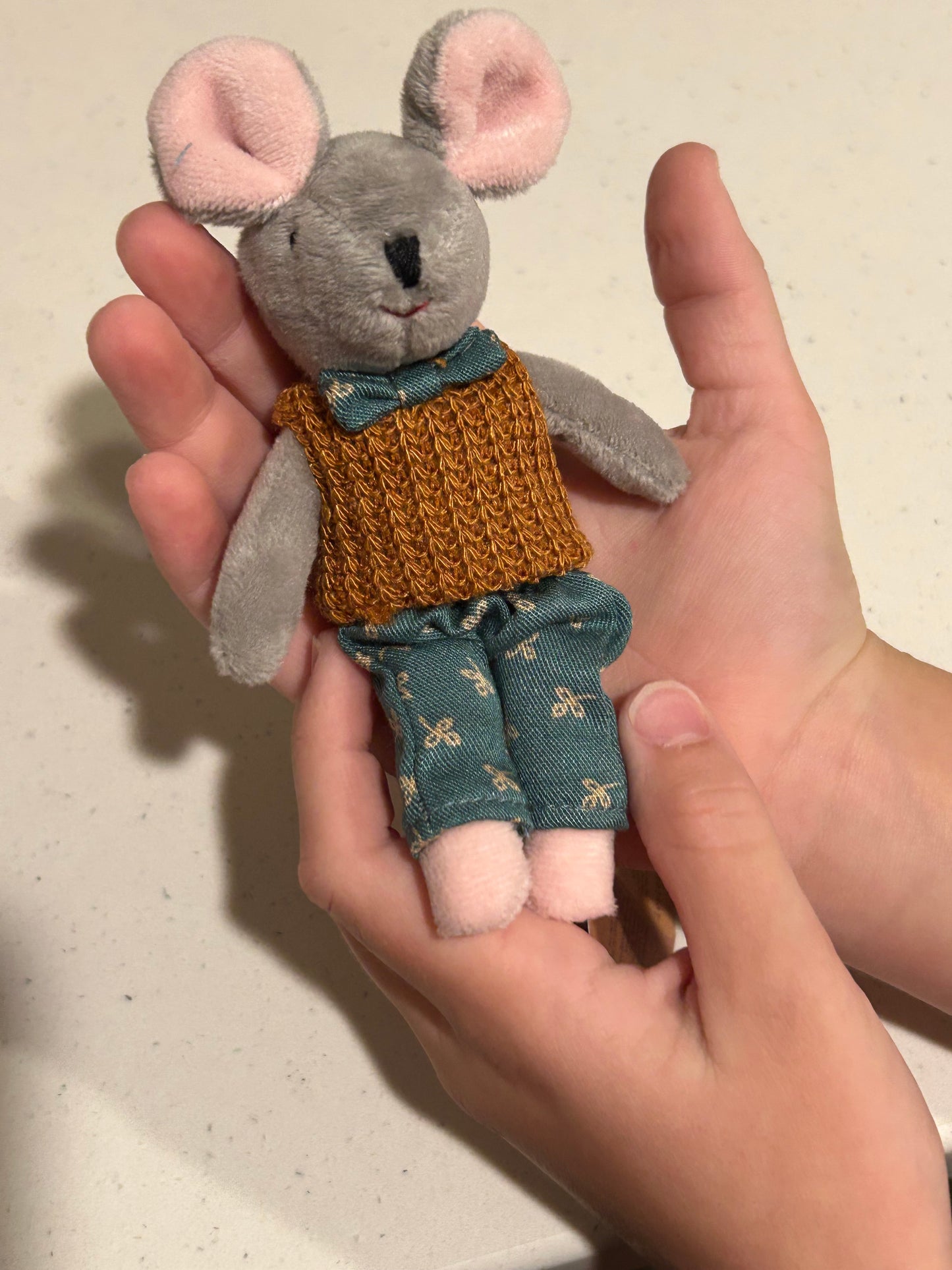 Evan Mouse Tiny Box