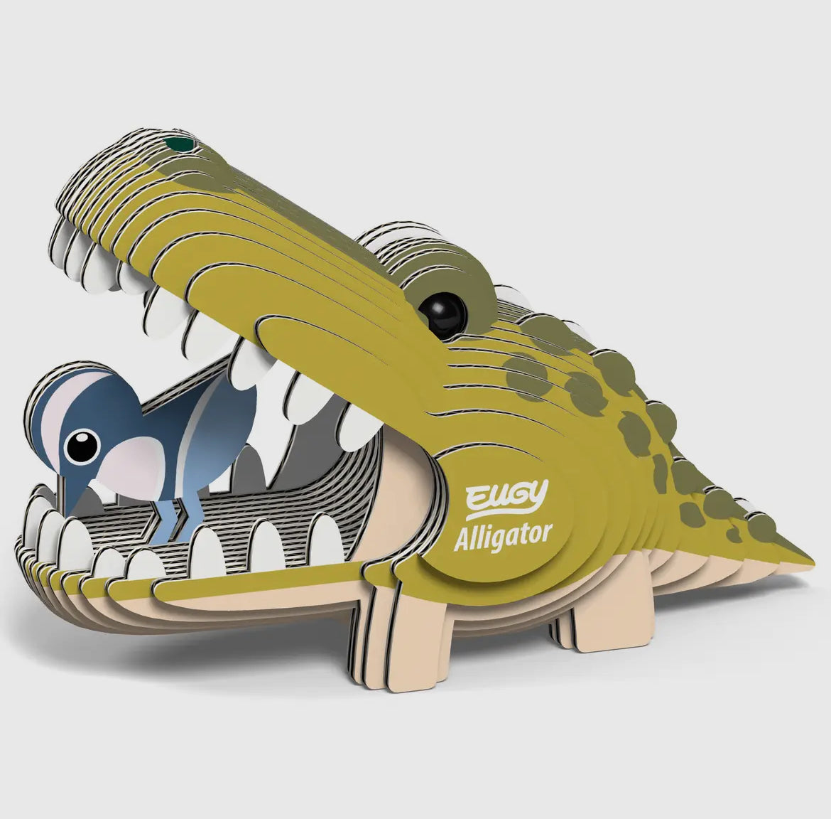 Eugy Alligator