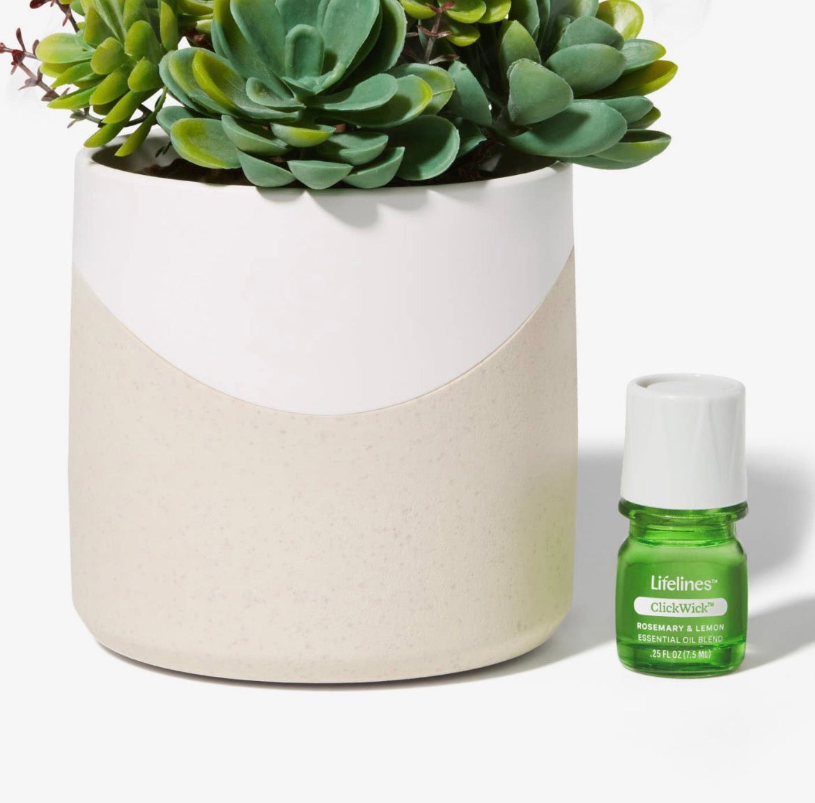 Plant Diffuser- succulent two tone