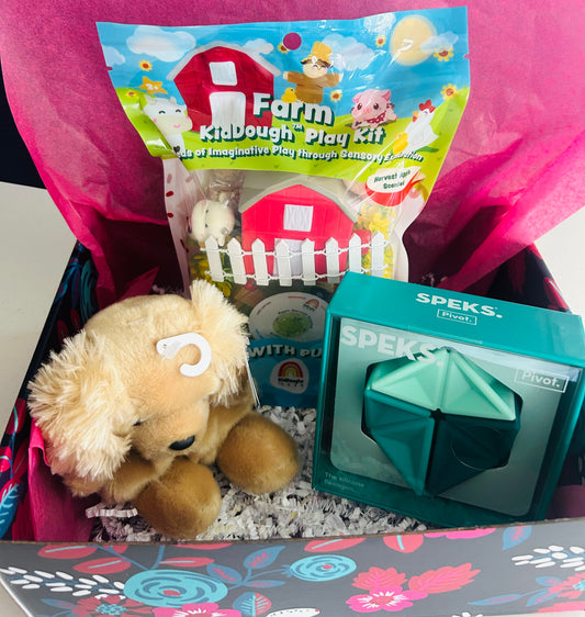 Kiddo Gift Box