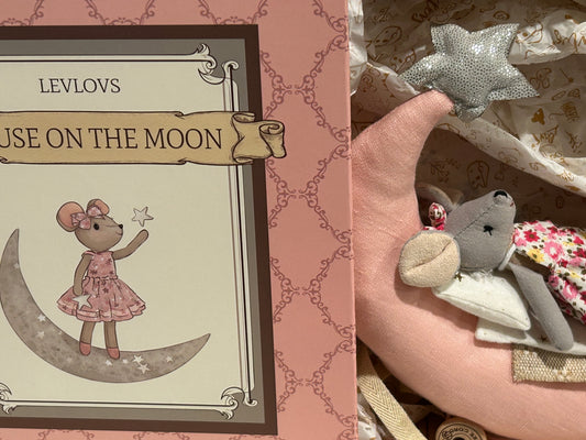 Mouse on the Moon Tiny Box