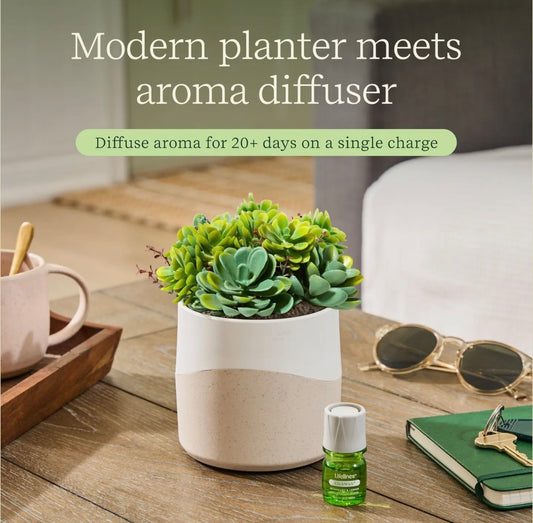 Plant Diffuser- succulent two tone