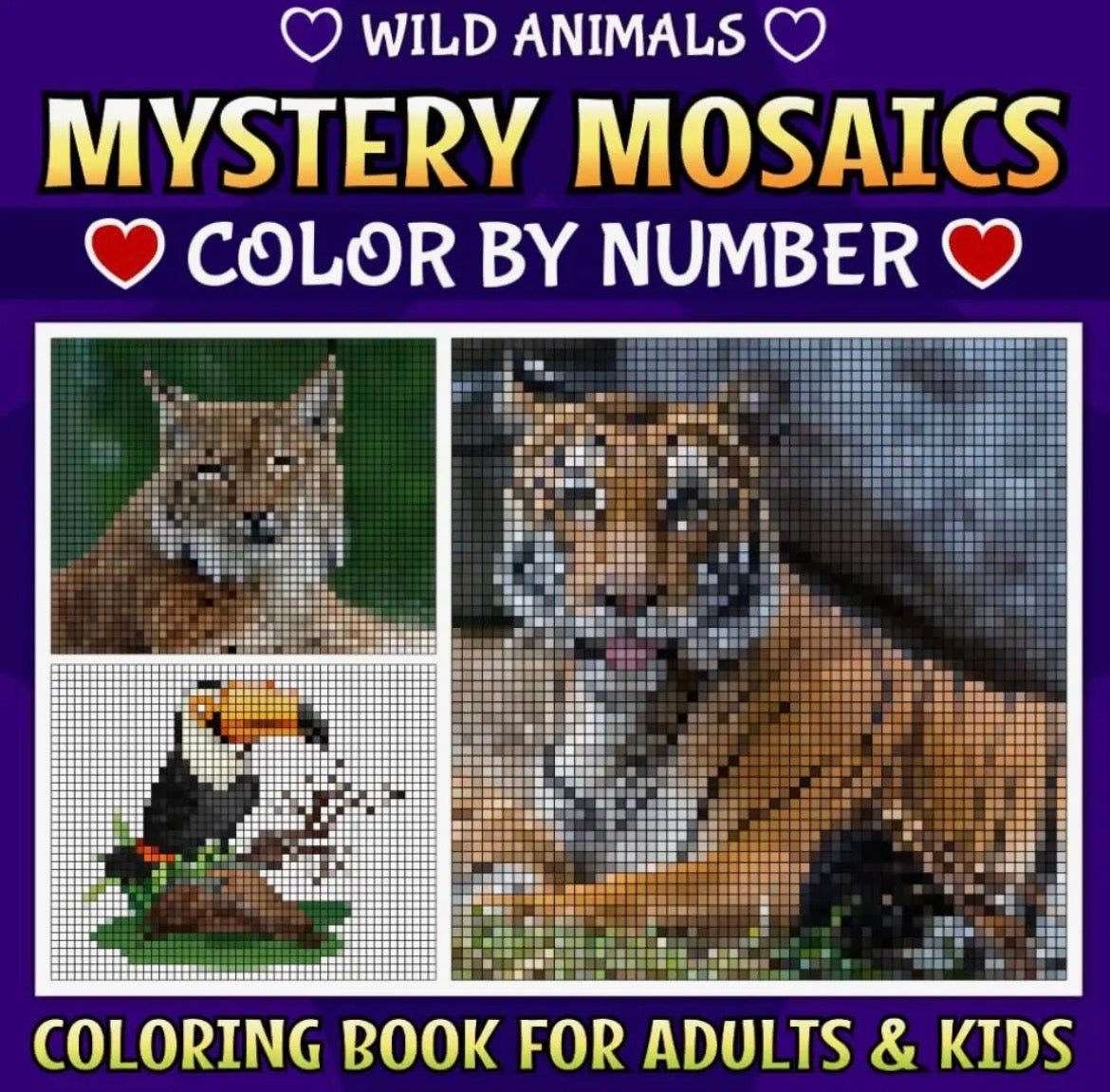 Mystery Mosaic Color by Numbers Coloring Book