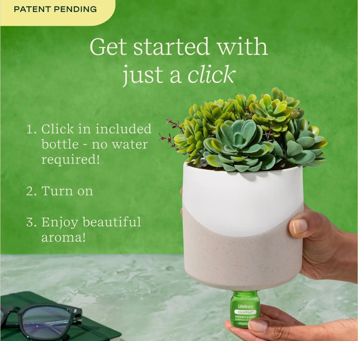 Plant Diffuser- succulent two tone