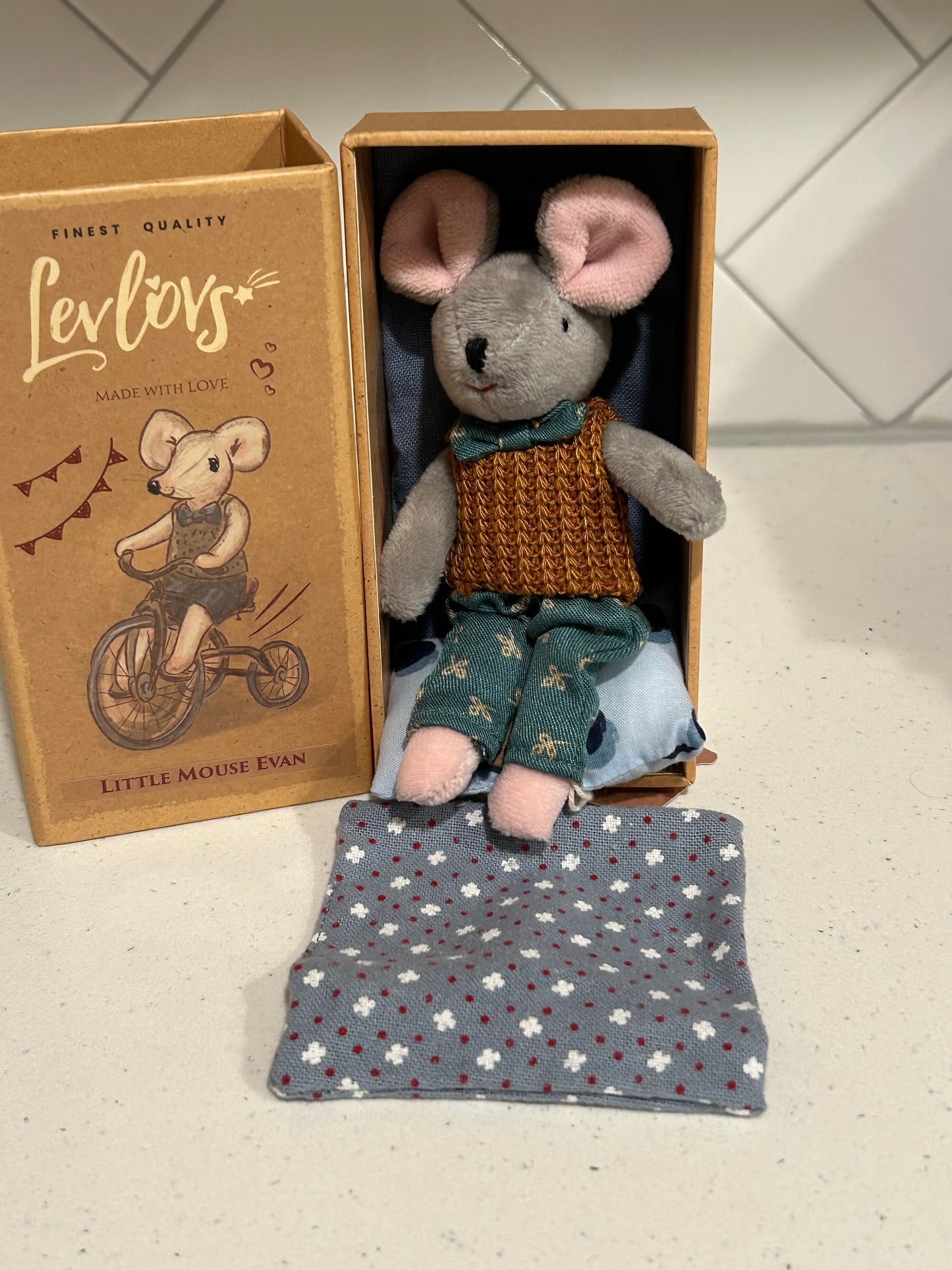 Evan Mouse Tiny Box