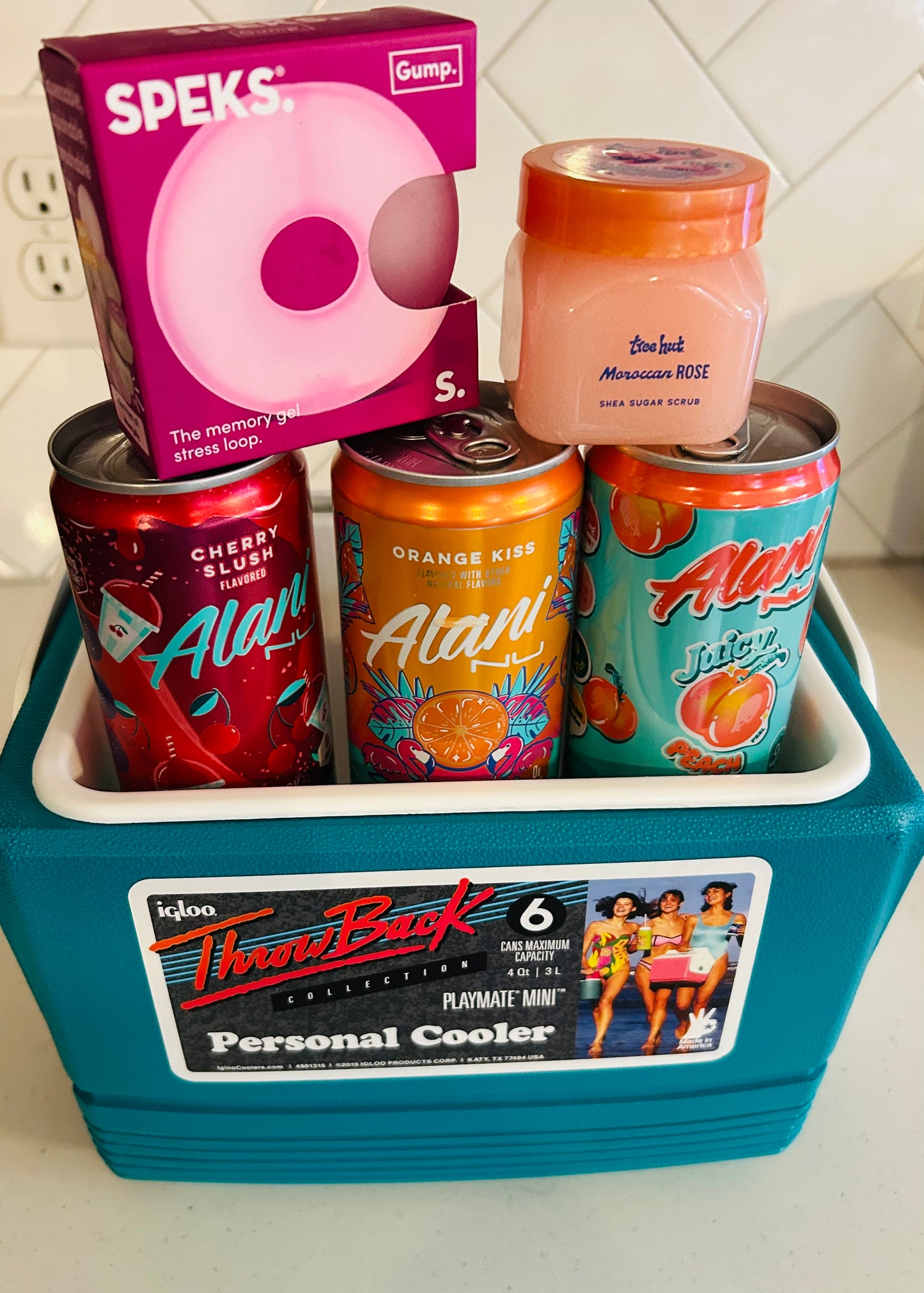 Mother’s Day Gift Cooler