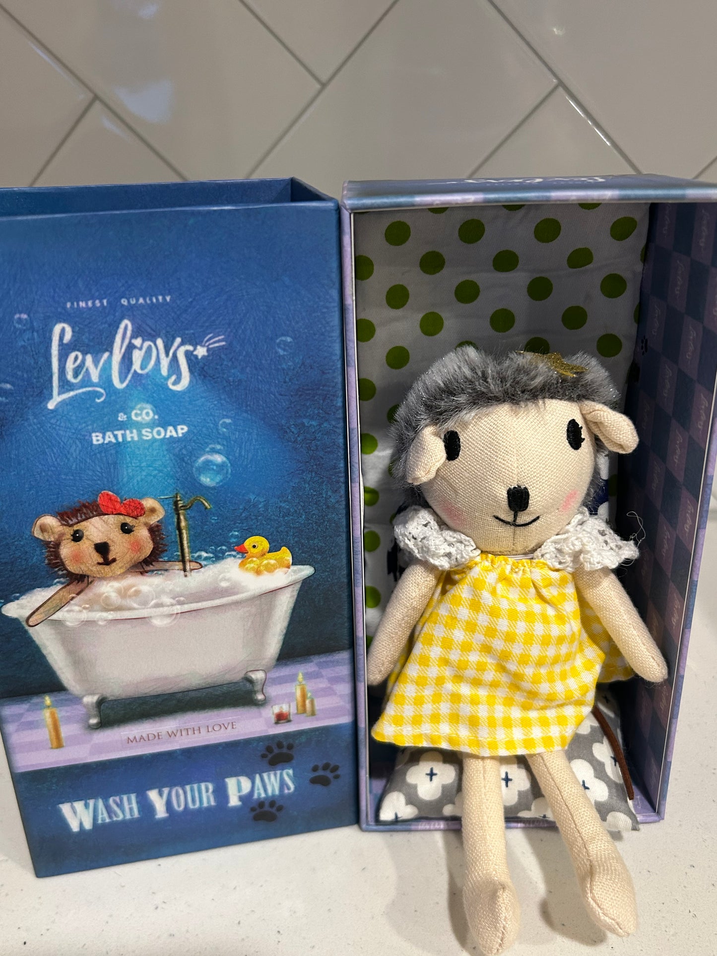 Hedgehog Tiny Box