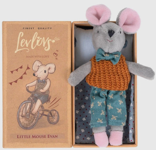 Evan Mouse Tiny Box